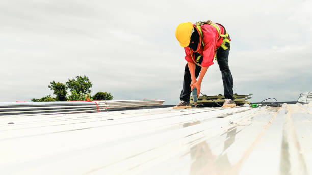 Best Asphalt Shingles Roofing  in Fillmore, UT